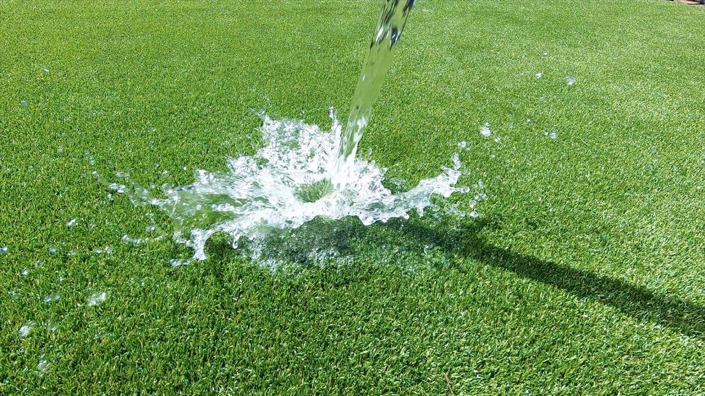 Pet Grass Clean PSD